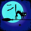 A Halloween party poster with a black cat on a witch`s broom. Editable banner design template. Royalty Free Stock Photo