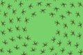 Halloween Pattern made of black spiders on a green background.