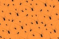 Halloween pattern made with creepy black beetles with long whiskers on orange background, as a backdrop or texture. Creative