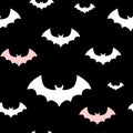 Halloween pattern with white and pink bats on black background Royalty Free Stock Photo