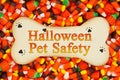 Halloween Pet Safety message