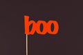 Halloween photo porp on sticks in shape of red word `boo` dark background