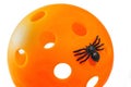 Halloween Pickleball Spider