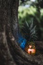 Halloween pineapple with a scary face on the roots of a tree Royalty Free Stock Photo