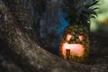 Halloween pineapple with a scary face on the roots of a tree Royalty Free Stock Photo