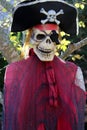 Halloween pirate skeleton