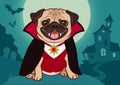 Halloween pug dog in vampire costume cartoon illustration. Cute Royalty Free Stock Photo