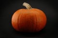 Halloween pumkin Royalty Free Stock Photo