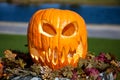 Halloween Pumpkin Royalty Free Stock Photo