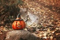 Halloween pumpkin in autumn forest and road behind. Fall Season mood photo