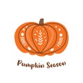 Halloween Pumpkin. Autumn pumpkin harvest festival. Thanksgiving Day graphic element isolated