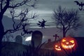 Halloween pumpkin bat creepy fear scare