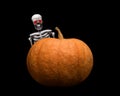 Halloween pumpkin on a black background. The human skeleton and pumpkin Royalty Free Stock Photo