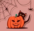 Halloween pumpkin. A black cat is hiding behind a pumpkin. Spiders on the walls with a dark shadow. Happy halloween Royalty Free Stock Photo