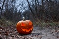 Halloween pumpkin burning in forest at night