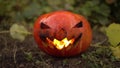 Halloween pumpkin burns with real fire. Jack lantern lies on the ground at the holiday. Royalty Free Stock Photo