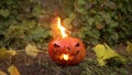 Halloween pumpkin burns with real fire. Jack lantern lies on the ground at the holiday.