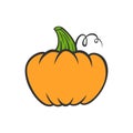 Halloween pumpkin. Cartoon gourd. Traditional thanksgiving food