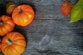 Halloween Pumpkin Carving Jackolantern