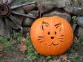 Halloween pumpkin Royalty Free Stock Photo