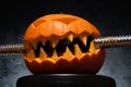 Halloween pumpkin clenching teeth on gym barbell dumbbell. Royalty Free Stock Photo