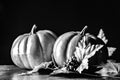 halloween pumpkin decorations and leaves and skulls autum fall colors