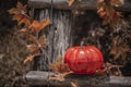 halloween pumpkin decorations and leaves and skulls autum fall colors