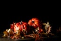 halloween pumpkin decorations and leaves and skulls autum fall colors