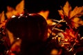 halloween pumpkin decorations and leaves and skulls autum fall colors