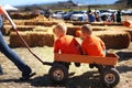 California. USA. October 2012. Halloween. The Pumpkin Festival. Two little boys, my mother is driving in a cart after a pumpkin fi