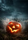 Halloween Pumpkin Field With a Grinning Jack O Lantern Royalty Free Stock Photo