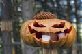 Halloween pumpkin with fir cone