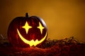 Halloween Pumpkin in a form of joker Royalty Free Stock Photo