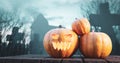 Halloween pumpkin glowing on gothic graveyard Royalty Free Stock Photo