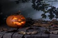 Halloween pumpkin glowing In a mystic  forest at night. Royalty Free Stock Photo