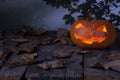 Halloween pumpkin glowing In a mystic  forest at night. Royalty Free Stock Photo