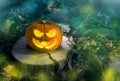 Halloween pumpkin on the ground at night in a mystical forest. Halloween background. Sinister eyes of pumpkins. Halloween party.