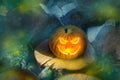 Halloween pumpkin on the ground at night in a mystical forest. Halloween background. Sinister eyes of pumpkins. Halloween party.