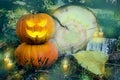 Halloween pumpkin on the ground at night in a mystical forest. Halloween background. Sinister eyes of pumpkins. Halloween party. Royalty Free Stock Photo