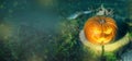 Halloween pumpkin on the ground at night in a mystical forest. Halloween background. Sinister eyes of pumpkins. Halloween party. Royalty Free Stock Photo