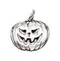 Halloween Pumpkin Hand Drawing Vector Illustration.