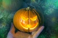 Halloween pumpkin in hand at night in mystical forest. Halloween background. Holiday. Sinister eyes of the pumpkin. Halloween Royalty Free Stock Photo