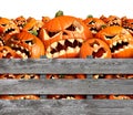 Halloween Pumpkin Harvest Royalty Free Stock Photo