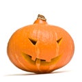 Halloween Pumpkin Head Royalty Free Stock Photo