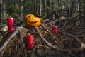 Halloween pumpkin head jack lantern with burning candles with bats in scary deep night forest. Royalty Free Stock Photo