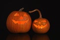 Halloween pumpkin heads. Glowing jack lanterns