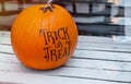 Halloween pumpkin Jack o Lantern head. Funny carved Halloween pumpkin. Royalty Free Stock Photo