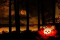 Halloween pumpkin lantern on outdoors with tree and full moon on river - head jack o lantern evil faces spooky holiday decorate on Royalty Free Stock Photo