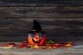 Halloween pumpkin lantern. Trick or treat on a wooden table Royalty Free Stock Photo