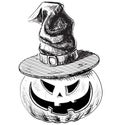 Halloween pumpkin in magic witch hat Royalty Free Stock Photo